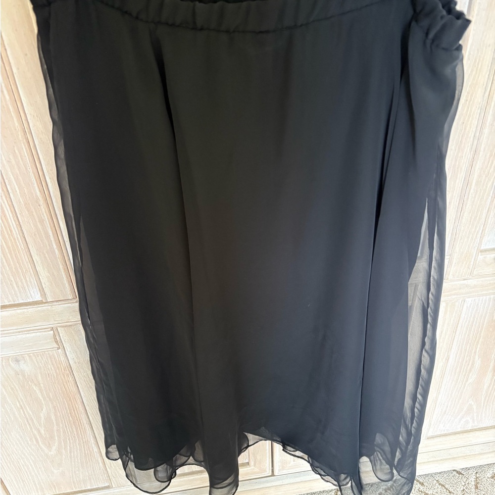 Elegant Black Sheer Skirt